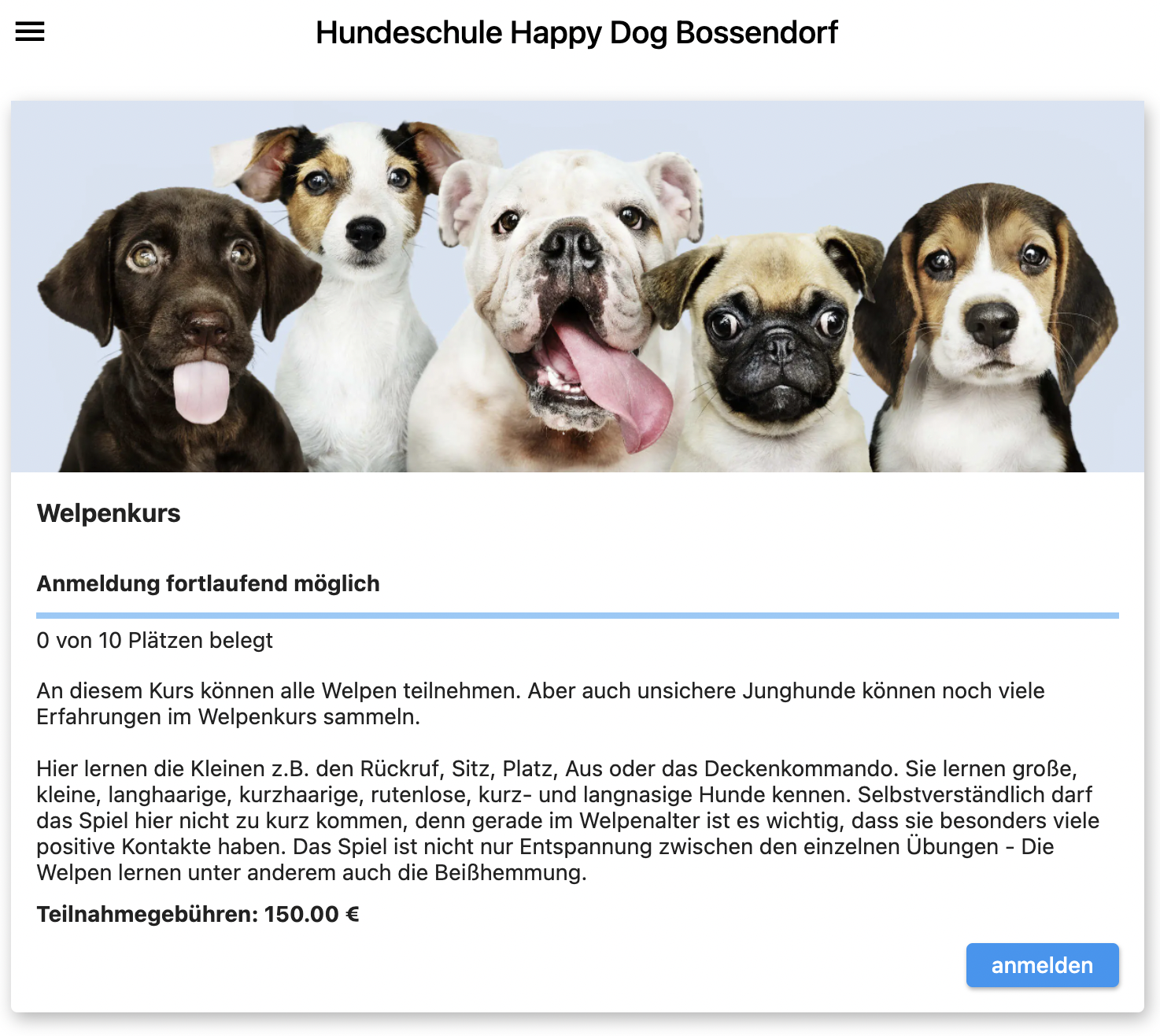 Online Kursanmeldung Hundeschule